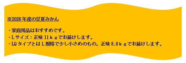 2026�N�Y�ÉĂ݂���