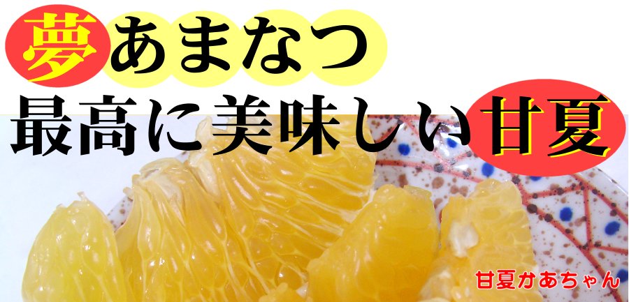 最高に美味しい夢甘夏