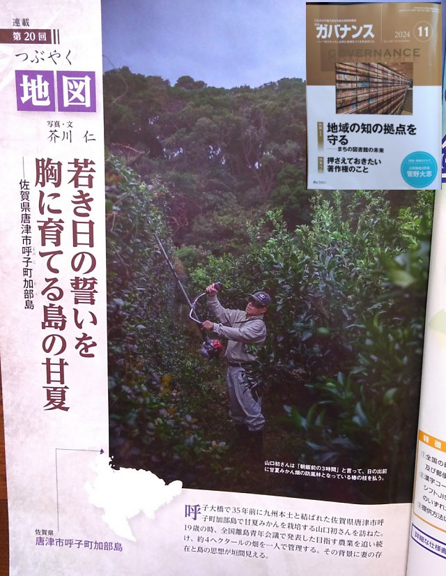 雑誌ガバナンス2024年11月号